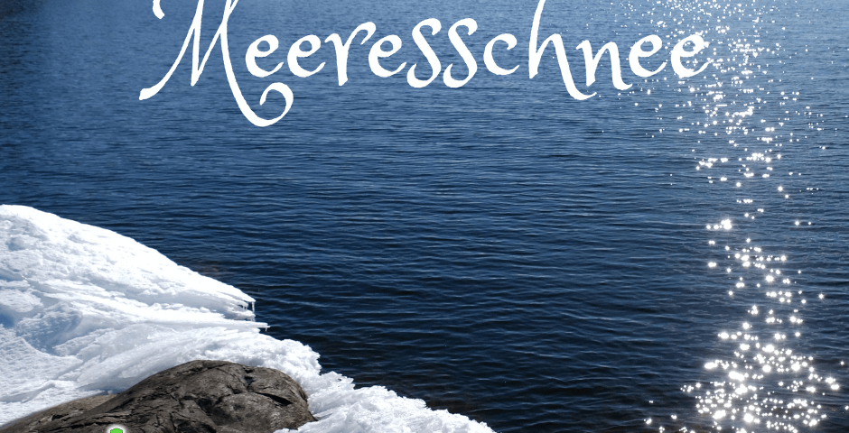 Meer mit Schnee im vordergrund mit der Überschrift Meeresschnee